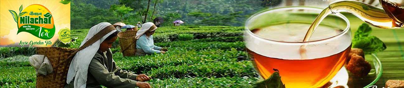 Our Tea Garden