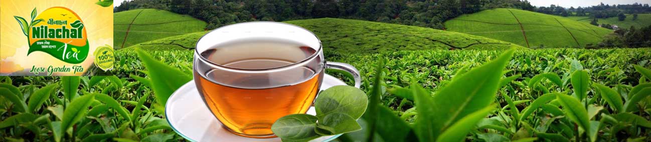 Our Tea Garden