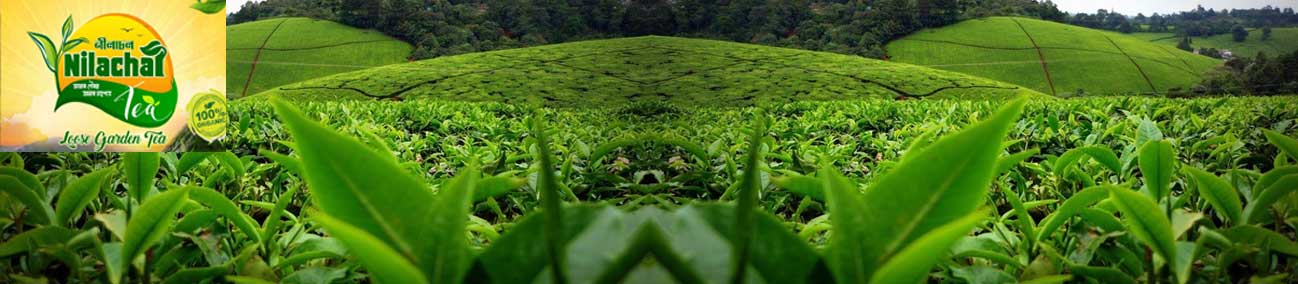 Our Tea Garden